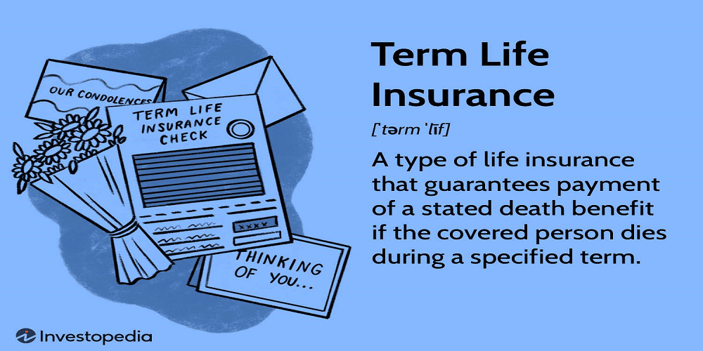 Best Term Insurance Plans 2025 | Affordable Cover Online